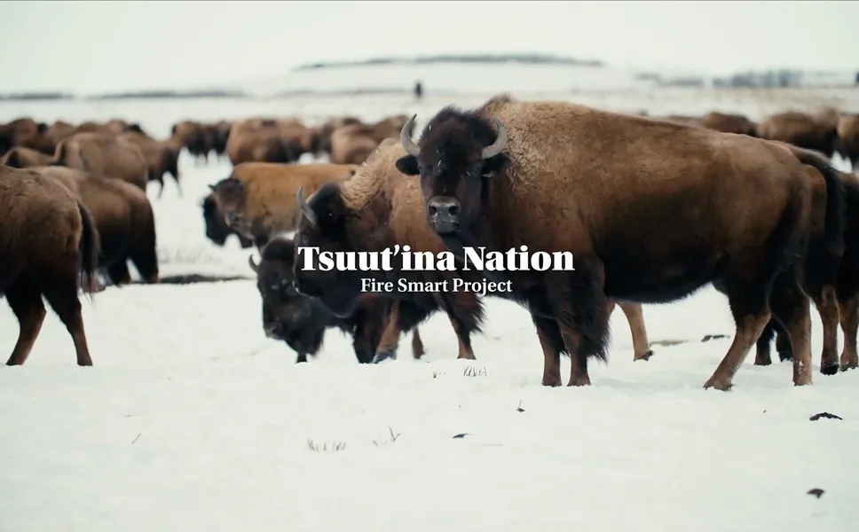 Film still from Tsuut'ina Nation - FireSmart Documentary